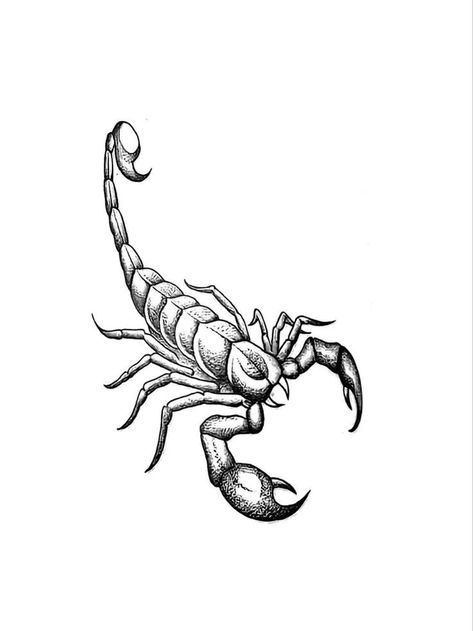 Scorpion Tattoo Drawing, Scorpion Drawing, Scorpion Tattoo Design, Chest Tattoo Stencils, Band Tattoos For Men, Cute Thigh Tattoos, Sigil Tattoo, Full Sleeve Tattoo Design, Scorpion Tattoo