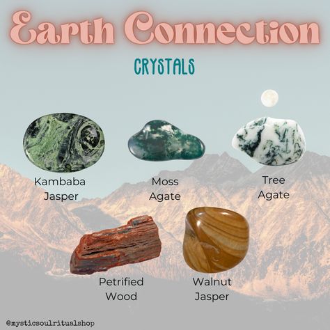 Brecciated Jasper Meaning, Tree Agate Meaning, Kiwi Jasper Crystal Meaning, Tree Agate Properties, Kambaba Jasper Crystal Meaning, Petrified Wood Crystal Meaning, Earth Connection, Jasper Meaning, Tree Agate Crystal