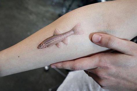 Small Fish Tattoos, Best 3d Tattoos, Inner Forearm Tattoo, 3d Fish, Finger Tattoo For Women, Type Tattoo, Summer Tattoo, Inner Forearm, Fish Tattoo