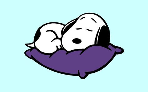 Snoopy Laying Down, Snoopy Sleep, Sleep Wallpaper, Homemade Wallpaper, Snoopy Sleeping, Wallpaper 1920x1080, Joe Cool, Beauty Sleep, Peanuts Gang