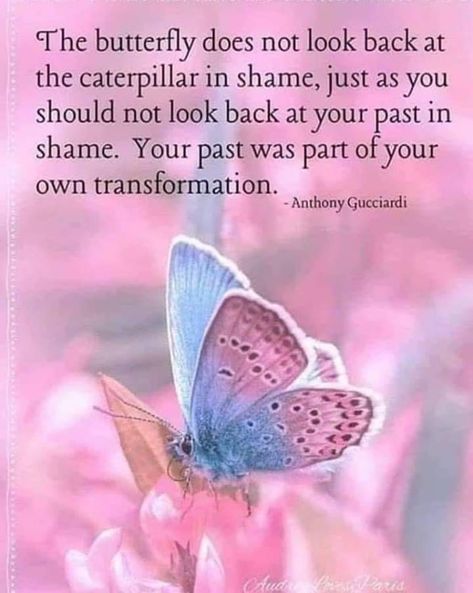 Butterfly Quotes, Dont Look Back, A Butterfly, A Quote, Wise Quotes, Positive Thoughts, Beautiful Quotes, Good Morning Quotes, Spiritual Quotes