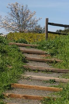 steep hill steps Backyard Landscaping On A Hill, Hill Landscaping Ideas, Backyard Hill, Backyard Hill Landscaping, Hill Landscaping, Sloped Backyard Landscaping, Landscaping A Slope, Landscape Stairs, Landscaping On A Hill