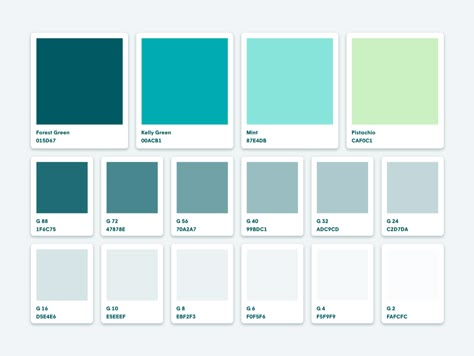 Soft green-blue-grey color palette by Kyle Anthony Miller #colorpalettes #presentationdesigninspiration Mint Color Palettes, Dental Design Interior, Studio Medico, Healthcare Interior Design, Gray Color Palette, Dental Office Design Interiors, Cabinet Medical, Green Color Palette, Clinic Interior