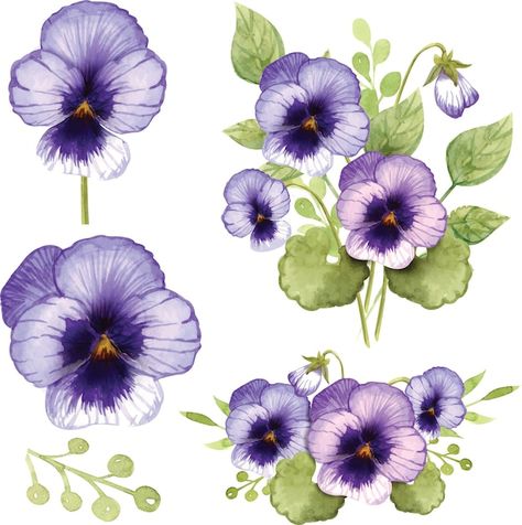 Pansies Art, Purple Butterfly Tattoo, Watercolor Pencil Art, Drawing Scenery, Watercolor Paintings Nature, Floral Wallpaper Phone, Floral Drawing, Pansies Flowers, Watercolor Flower Art