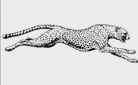 Alligator Tattoo, Cheetah Tattoo, Leopard Drawing, Small Chest Tattoos, Leopard Tattoos, Tattoo Salon, Torso Tattoos, Underboob Tattoo, Tattoo Inspiration Men