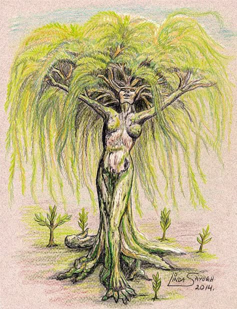 Willow Tree Dryad, Tree Of Life With Woman As Trunk, Tree Person Art, Tree Lady Tattoo, Tree Woman Drawing, Ent Drawing, Willow Tree Woman, Ent Tattoo, Dryad Tattoo