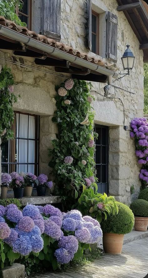 French Countryside Landscape, French Rose Garden, French Country Garden Patio, Italian Patio, Countryside Garden, Parisian Garden, Parisian Kitchen, Purple Hydrangea, Green Ideas