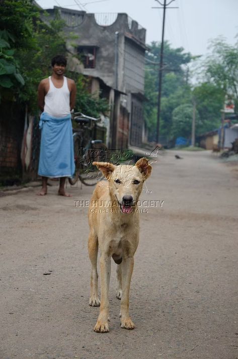 TBI BLOGS: 15 Animal Rights in India That Every Citizen Should Know Human Kindness, Ayat Alkitab, Faith In Humanity Restored, Humanity Restored, Poor People, People Of The World, Animal Rights, Faith In Humanity, Random Acts Of Kindness