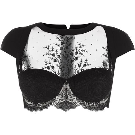 La Perla Neoprene Desire Long-Line Bra ($1,458) ❤ liked on Polyvore featuring intimates, bras, tops, lingerie, underwear, crop top, black, shiny lingerie, shiny bra and underwire bra Zip Bra, Long Line Bra, Adjustable Bra, Designer Lingerie, Womens Bras, Looks Chic, Luxury Lingerie, Dream Clothes, Underwire Bra