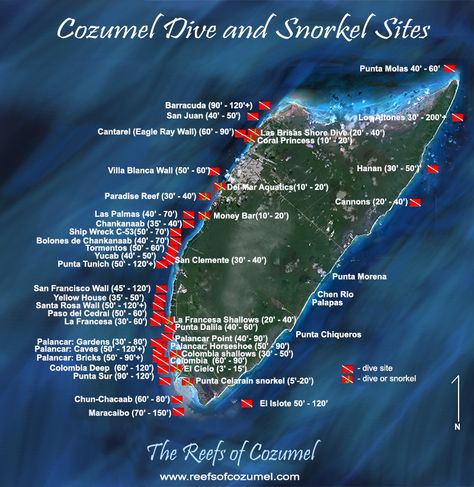 Reef Map | The Reefs of Cozumel Sunken Boats, Best Scuba Diving, Scuba Diving Gear, Cozumel Mexico, Diving Gear, Grand Cayman, Koh Tao, Scuba Diver, Cozumel