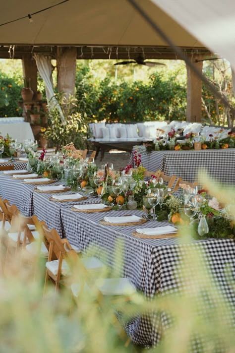 No Seated Dinner Wedding, Picnic Wedding Aesthetic, Summer Picnic Wedding, Eclectic Wedding Table Decor, Gingham Wedding Table, Spring Table Scape, Gingham Tablecloth Wedding, Backyard Wedding Bbq, Bbq Wedding Ideas