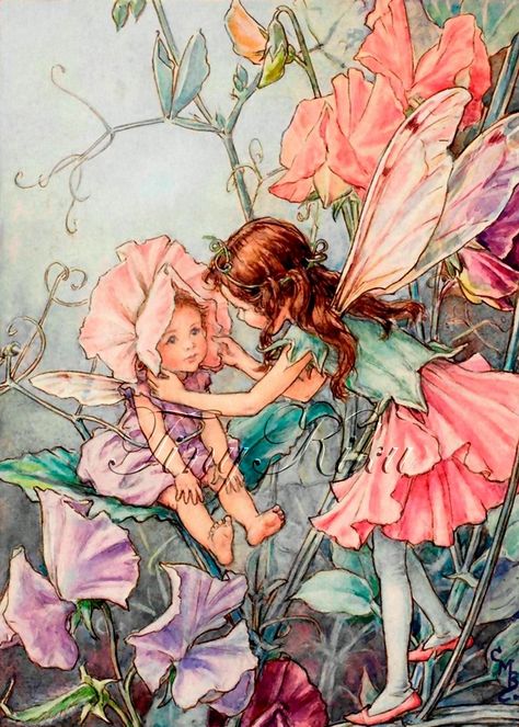 SWEET PEA FAIRIES, Vintage - Cicely Mary Barker.   Art Print, Fabric Block, Iron On Heat Transfer or Waterslide Decal.  Size Options. Sweet Pea Flowers, 동화 삽화, Fairy Pictures, Cicely Mary Barker, Pea Flower, Baby Fairy, Vintage Fairies, Flower Fairies, Fairytale Art