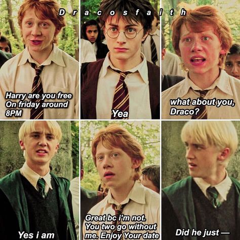 Blaise Harry Potter, Draco And Harry, Harry And Draco, Meme Harry Potter, Citate Harry Potter, Glume Harry Potter, Harry X Draco, Draco X Harry, Walpapers Cute