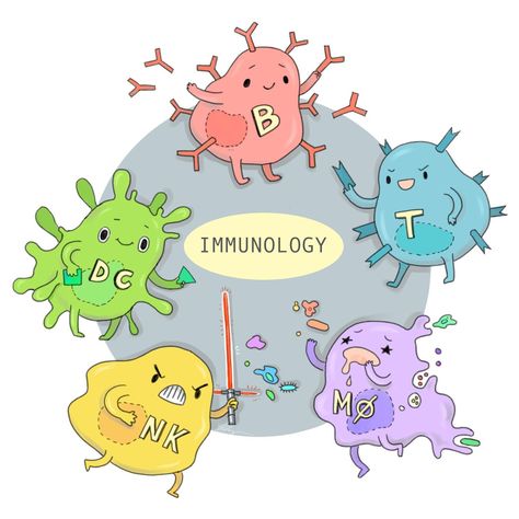 Types Of Blood Cells, Medical Stickers, Human Organ, Medical Laboratory Science, Natural Antibiotics, Sinus Infection, Laboratory Science, Medical Laboratory, Medical Art