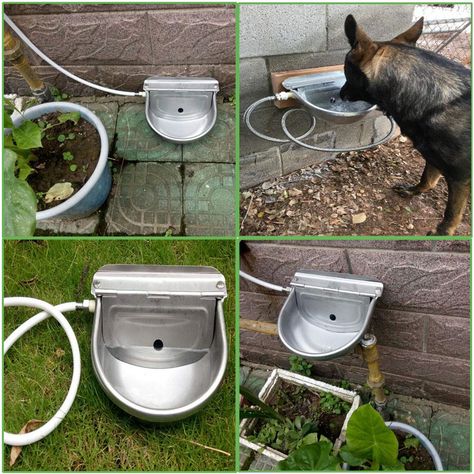 Outside Dog Bowl Ideas, Diy Pet Water Filter, Automatic Water Bowl Dogs, Dogs Water Bowl Ideas, Automatic Dog Water Bowl, Outside Water Bowls For Dogs, Built In Pet Water Fountain, Outdoor Dog Water Bowl, Diy Automatic Dog Waterer