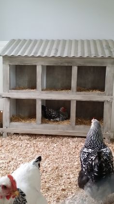 Ikea Chicken Nesting Boxes, Chicken Coop Laying Boxes, Chicken Laying Boxes Ideas, Nest Boxes For Chickens, Laying Boxes For Chickens Diy, Egg Laying Boxes, Nesting Box Ideas, Nesting Boxes For Chickens, Laying Boxes