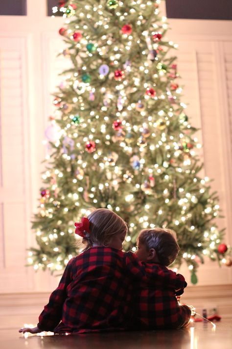 Toddler Christmas Photoshoot, Picture Christmas Tree, Toddler Christmas Pictures, Sibling Christmas Pictures, Christmas Tree Photoshoot, Toddler Christmas Photos, Christmas Photoshoot Kids, Diy Christmas Photoshoot, Christmas Pictures Kids