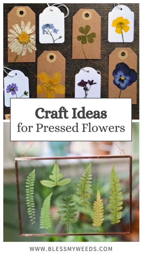 Get inspired with these creative craft ideas for using pressed flowers. Perfect for DIY projects, these crafts add a touch of nature to your home decor. Try these fun and beautiful ideas today! Diy Fall Nature Crafts, Uses For Dried Flowers, Things To Make From Nature, Crafts With Fresh Flowers, Flower Press Crafts, Simple Nature Crafts, Pressed Flower Crafts Projects, Flower Drying Ideas, Dried Flowers Craft Ideas