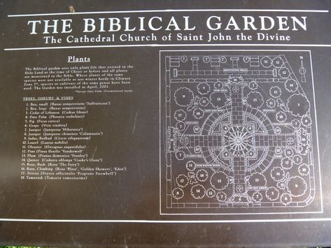 A biblical garden — the good garden Biblical Garden, Bible Garden, Moonlight Garden, Upper Manhattan, Prayer Garden, Ornamental Cabbage, All Are Welcome, Bird's Eye View, Cathedral Church