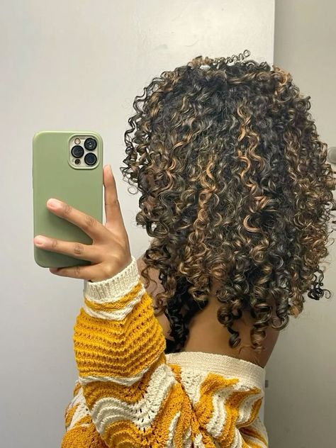 Curly Afro With Highlights, 3b Curly Highlights, Dark Brown With Light Brown Highlights Curly Hair, Brown Blonde Highlights Curly Hair, Natural Hair Highlights Brown, Partial Highlights For Curly Hair, 3c Hair Color Ideas, Light Brown With Highlights Curly Hair, Dark Honey Blonde Hair With Highlights