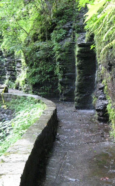 Finger Lakes Ny, Road Trip Places, Hiking Spots, Waterfall Hikes, Rv Park, Finger Lakes, Road Trippin, Rv Parks, New York State