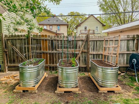 Cattle Trough Garden, Cow Trough Garden, Horse Trough Planter, Raised Garden Bed From Old Fence, Cattle Tub Container Garden, Raised Garden Beds Metal Trough, Cattle Trough, Horse Trough, Wood Stake