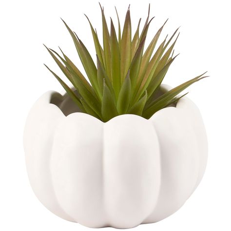 Displaying a sculpted pumpkin shape and matte cream color finish. Our Large and medium Pumpkin pot includes an opening on top to place seasonal florals, succulents, or décor. Greenery pictured not included. Seasonal pumpkin pot features a neutral color making it easy to coordinate with a variety of plants and décor. A pumpkin-themed home accent perfect for seasonal display. Pumpkin Pot, Pumpkin Ceramic, Blue Chinoiserie, Gold Candle Holders, White Halloween, Seasonal Displays, Stacked Pumpkins, Food Candles, Floral Branch