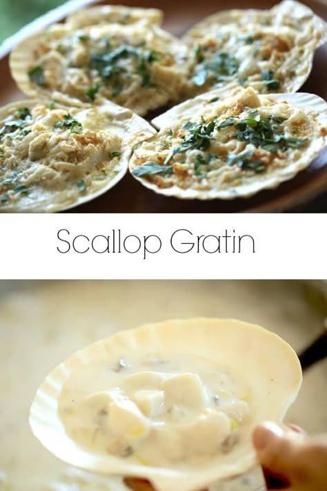 Scallops Gratin, otherwise known as Coquilles Saint Jacques. Learn how to make this beautiful French recipe that makes for a wonderful holiday starter! INCLUDES VIDEO   #entertainingwithbeth #coquillessaintjacques #coquillessaintjacquesgratinees #scallops #scalloprecipes #holidayrecipes via @EntWithBeth Scallops Gratin, Scallop Gratin, Seafood Christmas, Coquilles St Jacques, Coquille St Jacques, French Recipe, Festive Appetizers, Yummy Seafood, Appetizers For A Crowd