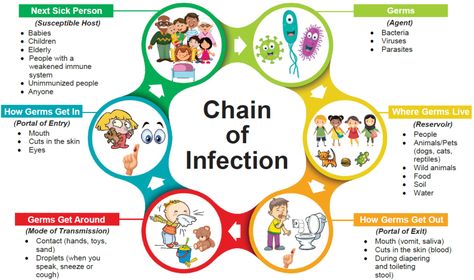 The chain of infection, if we think of it as an actual chain, is made up of six different links: pathogen (infectious agent), reservoir, portal of exit... Chain Of Infection, Infection Control Nursing, Foot Reflexology Massage, Infection Prevention, Nursing School Studying, Reflexology Massage, Nursing School Notes, Phlebotomy, Healing Touch