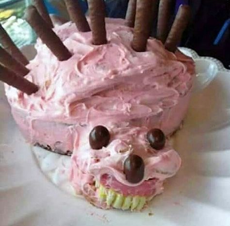 Goofy Cake, Bad Cakes, Ugly Cakes, Hedgehog Cake, Cake Fails, Funny Birthday Cakes, Crazy Cakes, Pretty Birthday Cakes, Cute Birthday Cakes