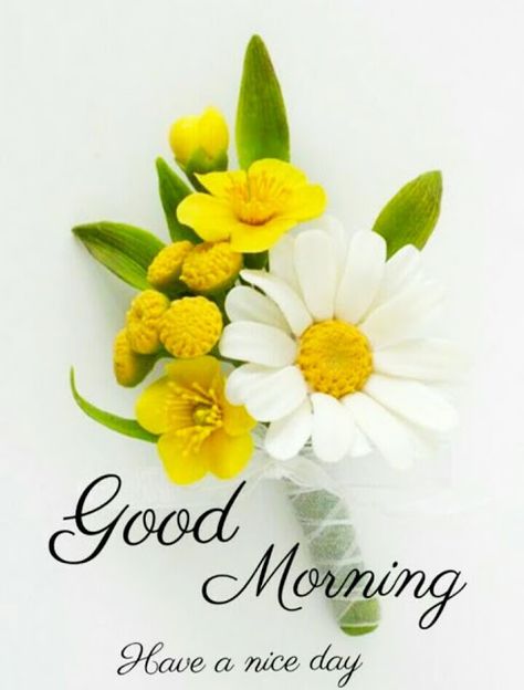 Good Morning Images Very Good Morning Images, Sweet Good Morning Images, Subah Bakhair, Latest Good Morning, Good Morning Happy Monday, Good Morning Flowers Rose, Good Morning Beautiful Gif, Good Morning Nature, Good Morning Images Hd