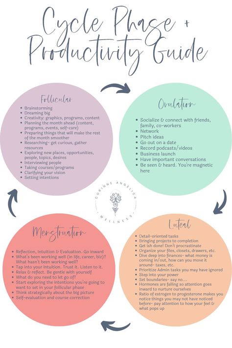 Study Cycle, Period Cycling, Living With Your Cycle, Work With Your Cycle, Cyclical Living, Cycle Syncing Pilates, Cycle Syncing Productivity, Female Cycle, Cycle Productivity