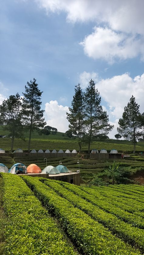 Tempat Aesthetic, Hotel Bandung, Bandung City, Holiday Trip, Kota Bandung, Holiday Travel, Aesthetic Pictures, Healing, Hotel