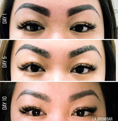 Powder Brows Healing Stages, Ombre Eyebrows Healing Process, Healed Powder Brows, Microshading Eyebrows Healing Process, Ombre Powder Brows Healing Process, Ombre Brows Healing Process, Powder Brows Healing Process, Tattoo Scabbing, Microblading Healing Process