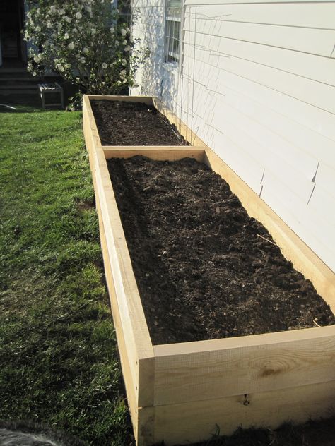 Tall Raised Garden Beds for the Yard with Dogs! Raised Beds Along House, Front Of House Raised Flower Bed, Raised Bed Next To House, Garden Bed Next To Fence, Side Of House Raised Garden Beds, Vegetable Garden On Side Of House, Flower Bed Raised Planters, Side House Flower Bed, Raised Garden Side Of House