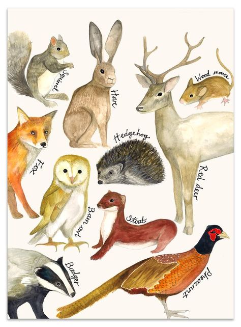 Educational Painting, Woodland Adventure, Countryside Paintings, Watercolor Paintings Of Animals, Adventure Print, Animal Poster, Childrens Wall Art, Kids Nursery, Painting Poster