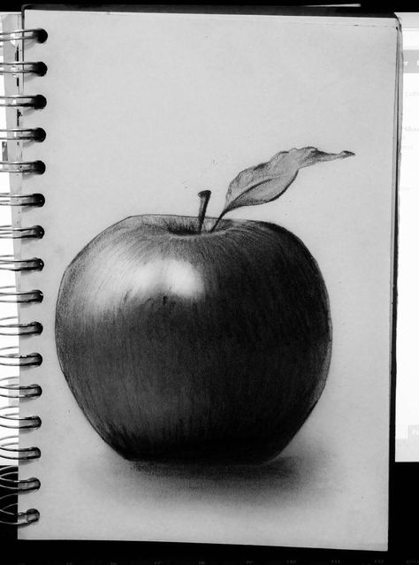 Apple Pencil Shading, Apple Sketch Pencil, Apple Shading, Still Life Pencil Shading, Apple Pencil Drawing, Apple Sketch, Drawing Apple, Fruit Sketch, 3d Pencil Drawings