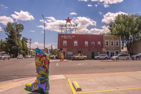 Located along the Humboldt River in northern Nevada, the quaint town of Elko calls itself "The Heart of Northeast Nevada". There's no denying that this town has a lot of heart. It has to be one of the most interesting places in the state. Fernley Nevada, Elko Nevada, Cowboy Town, Beautiful Murals, Old Western Towns, California Trail, Usa Bucket List, Northern Nevada, Nevada Travel