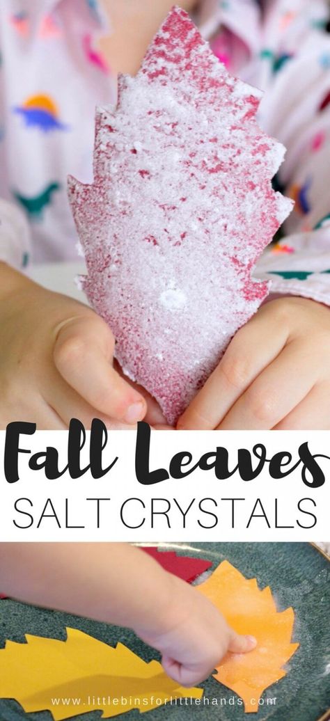 Leaves Science Experiment, Fall Science Activities, Fall Stem Activities, Stem Activity For Kids, Season Salt, Fall Science, Holiday Science, Kitchen Science, Stem Activities For Kids