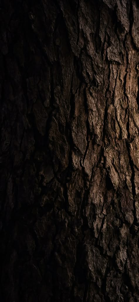 Wallpaper Texture, Iphone11 Pro, Wooden Tree, Graphic Wallpaper, Wallpaper Free Download, Brown Aesthetic, Nature Aesthetic, Free Wallpaper, Nature Wallpaper