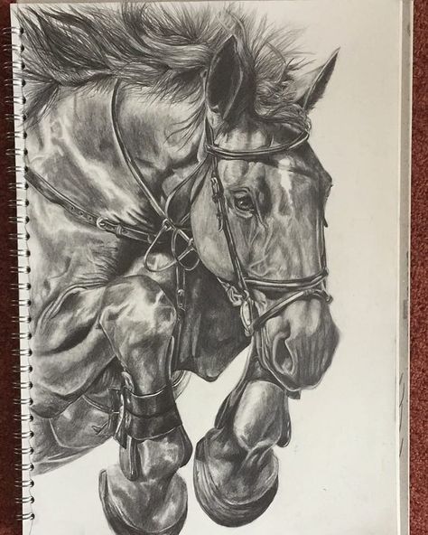 Things To Draw Person, Toned Paper Drawing Ideas, Drawing Ideas Realism, Realistic Horse Drawings, Hyper Realism Drawing, Rust Drawing, Horse Drawing Ideas, Realistic Drawing Ideas, Drawing Ideas Realistic