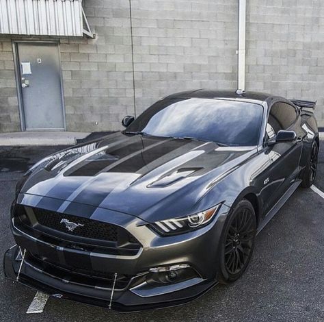 Dark grey double black striped 2015 mustang with black rims Para saber más sobre los coches no olvides visitar marcasdecoches.org Ford Mustang Eleanor, Shelby Mustang Gt500, Black Mustang, New Mustang, Mustang Gt500, Shelby Mustang, Ford Mustang Car, 2015 Mustang, Ford Mustang Shelby Gt500