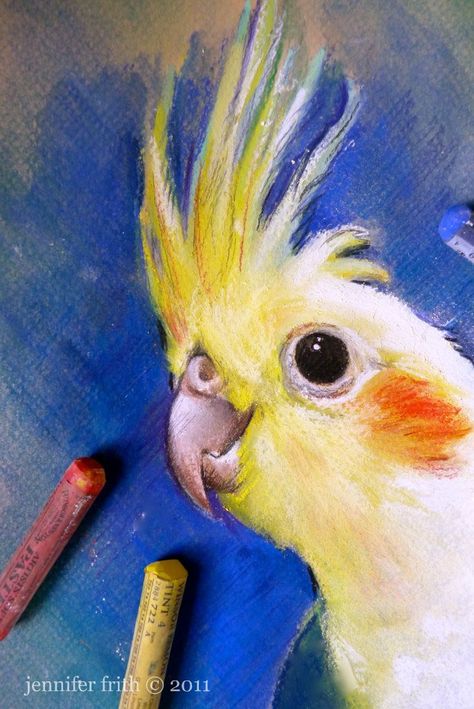 cockatoo Animal Oil Pastel, Cockatiel Painting, Cockatiel Drawing, Australian Fauna, Chalk Pastel Art, Adorable Illustration, Soft Pastel Art, Parrots Art, Bird Paintings