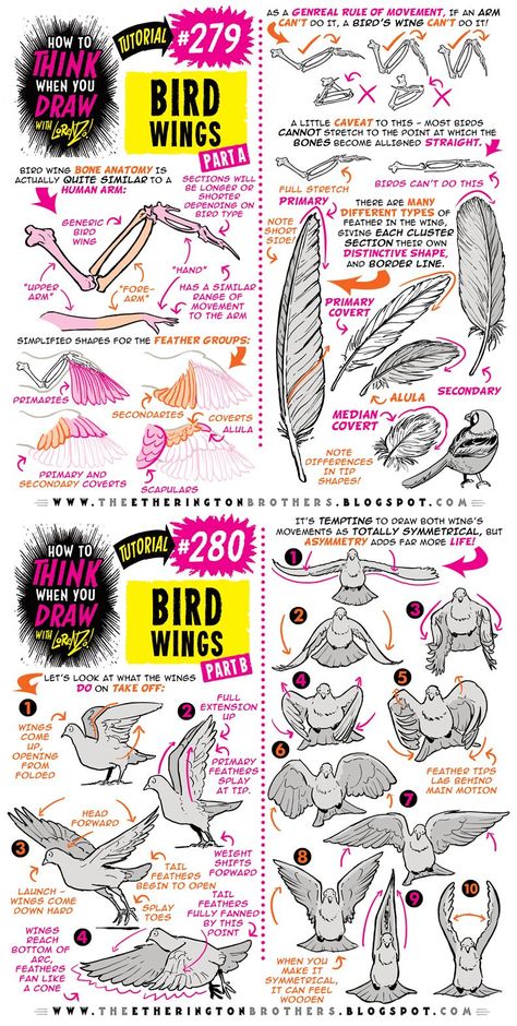 Drawing Birds Tutorial, Bird Tutorial Drawing, Bird Drawing Tutorial, How To Draw Wings, Wing Tutorial, How To Draw Birds, Draw Bird, Wings Tutorial, Etherington Brothers