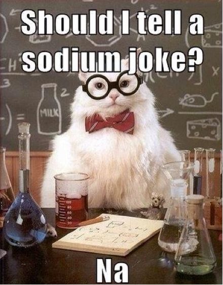 Science Cat, Chemistry Puns, Chemistry Cat, Work Quotes Funny, Science Jokes, Medical Humor, Travel Humor, Cartoon Network Adventure Time, Humor Memes