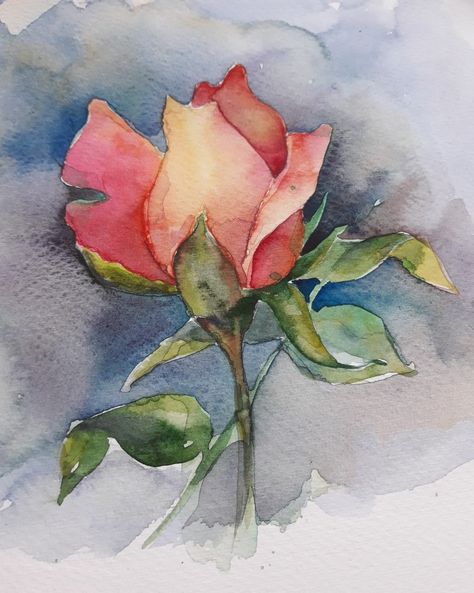 Rose Art Painting, Painting Of Flowers, Floral Watercolor Paintings, Ink Paintings, Watercolor Paintings For Beginners, Flower Watercolor, Watercolor Flower Art, Watercolor Painting Techniques, Hur Man Målar