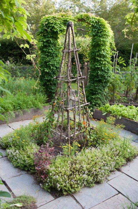 Rustic Trellis, Obelisk Trellis, Small Herb Gardens, Backyard Garden Layout, Garden Obelisk, Garden Vines, Potager Garden, Garden Artwork, Have Inspiration