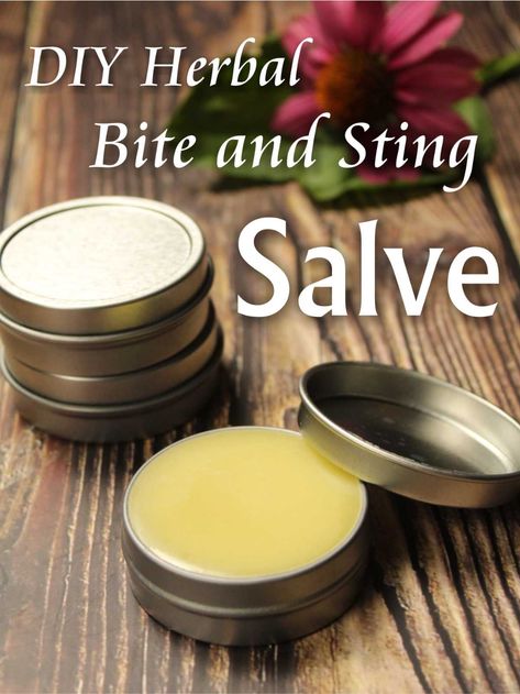 Yarrow Salve, Herbal First Aid Kit, Herbal Salve Recipes, Herbal First Aid, Comfrey Salve, Ant Bites, Medicine Garden, Herbal Medicine Recipes, Salve Recipes