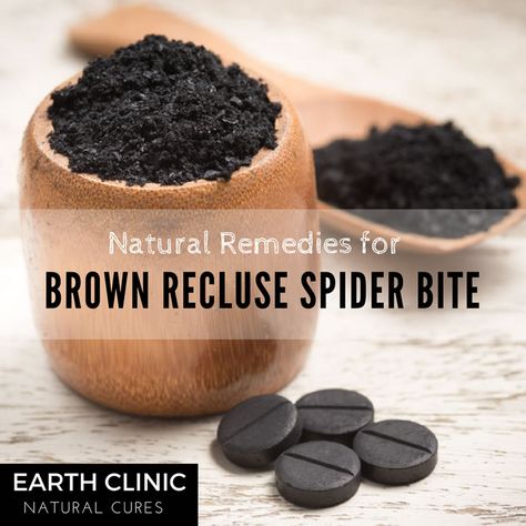 Recluse Spider Bite, Brown Recluse Spider Bite, Spider Bite, Recluse Spider, Brown Recluse Spider, Brown Recluse, Skin Grafting, Spider Bites, Epsom Salt