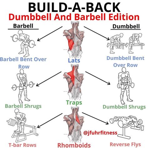 Fit Moral™ | Fitness on Instagram: “BUILD-A-BACK Dumbbell and Barbell edition/cable and dumbbell edition for the teres major/minor by me (@jfuhrfitness) - First things first…” Back Workout Bodybuilding, Traps Workout, Gym Antrenmanları, Muscle Abdominal, Gym Workout Chart, Gym Workouts For Men, Trening Fitness, Gym Tips, Weight Training Workouts